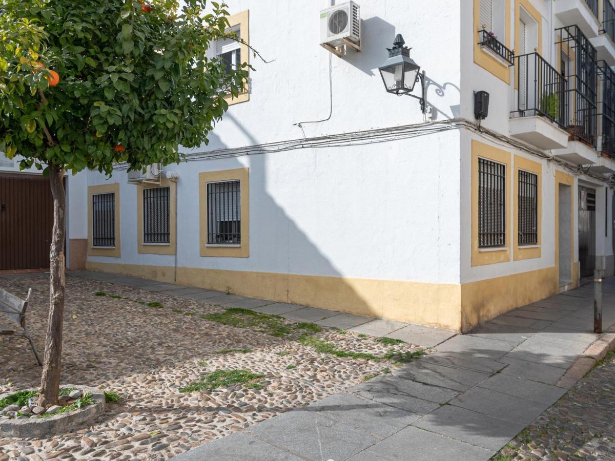 Nayber Gavia - Nuevo Y Centrico Apartamento En Кордова Экстерьер фото